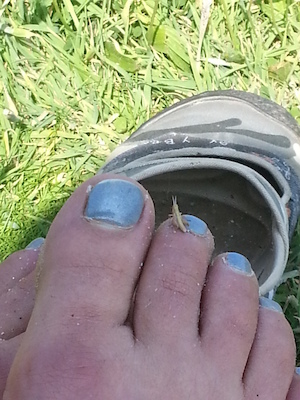 IMG_20130709_111035 (07-09-2013 11:10)