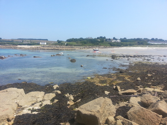 IMG_20130709_125120 (07-09-2013 12:51)