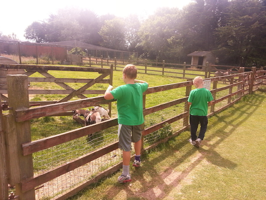 IMG_20130714_114508 (07-14-2013 11:45)