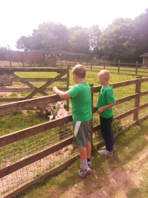 IMG_20130714_114519 (07-14-2013 11:45)