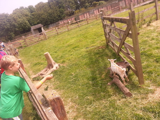 IMG_20130714_114547 (07-14-2013 11:45)