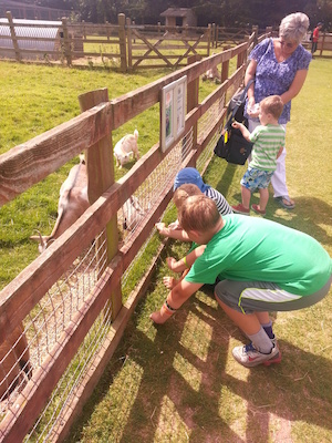 IMG_20130714_114715 (07-14-2013 11:47)