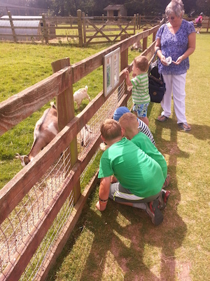 IMG_20130714_114718 (07-14-2013 11:47)