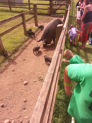 IMG_20130714_114928 (07-14-2013 11:49)