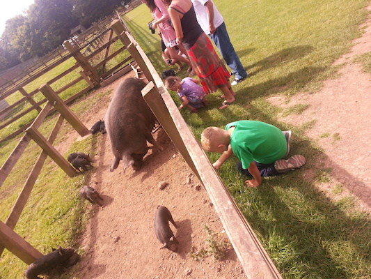 IMG_20130714_114932 (07-14-2013 11:49)