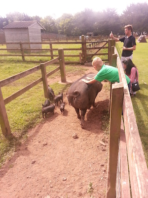 IMG_20130714_115138 (07-14-2013 11:51)