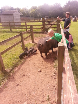 IMG_20130714_115140 (07-14-2013 11:51)