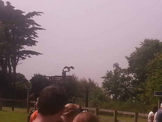 IMG_20130714_120955 (07-14-2013 12:09)