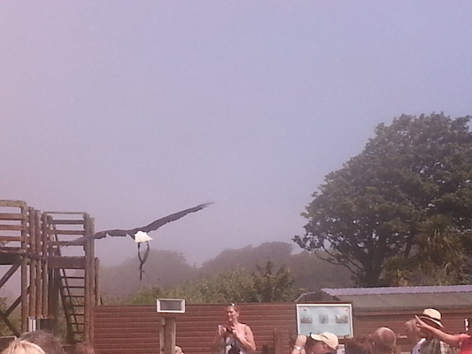 IMG_20130714_121005 (07-14-2013 12:10)