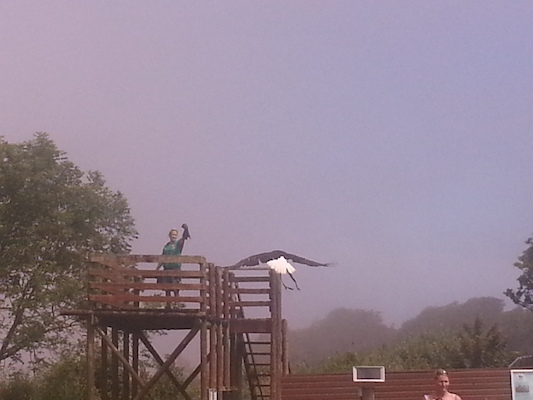 IMG_20130714_121006 (07-14-2013 12:10)