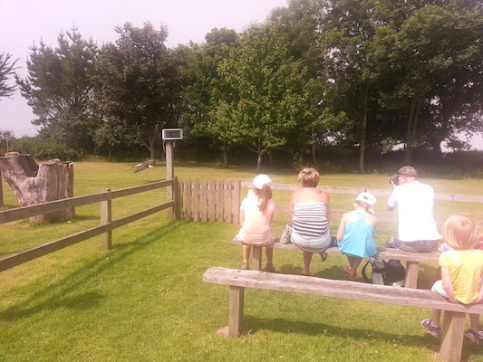 IMG_20130714_121035 (07-14-2013 12:10)