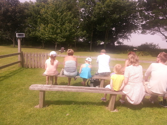 IMG_20130714_121035_1 (07-14-2013 12:10)