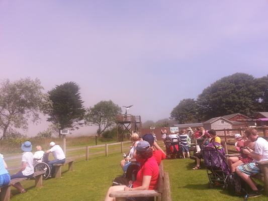 IMG_20130714_121040 (07-14-2013 12:10)