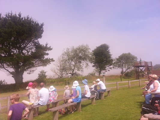 IMG_20130714_121110 (07-14-2013 12:11)