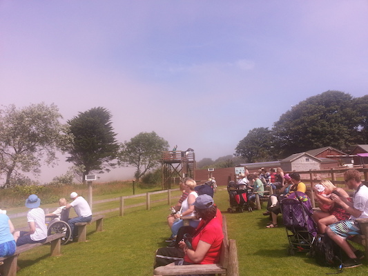 IMG_20130714_121112 (07-14-2013 12:11)