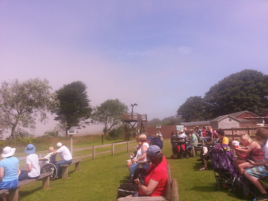 IMG_20130714_121113 (07-14-2013 12:11)