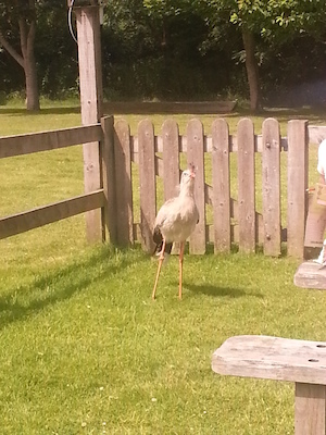 IMG_20130714_121509 (07-14-2013 12:15)