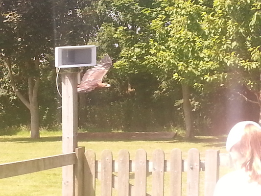 IMG_20130714_122117 (07-14-2013 12:21)