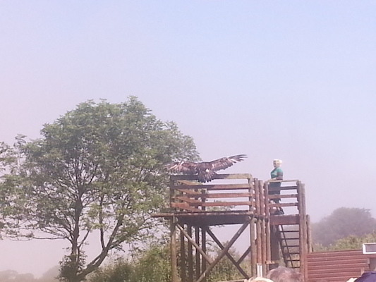 IMG_20130714_122121 (07-14-2013 12:21)