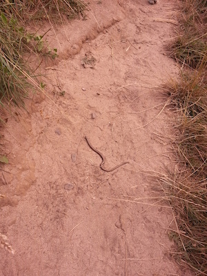 IMG_20130715_101050 (07-15-2013 10:10)