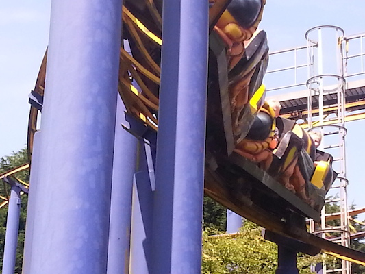 IMG_20130716_113122 (07-16-2013 11:31)