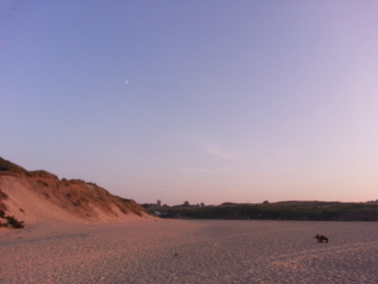 IMG_20130716_205055 (07-16-2013 20:50)