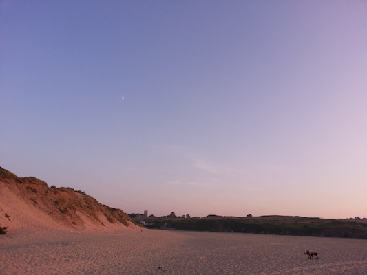 IMG_20130716_205057 (07-16-2013 20:50)