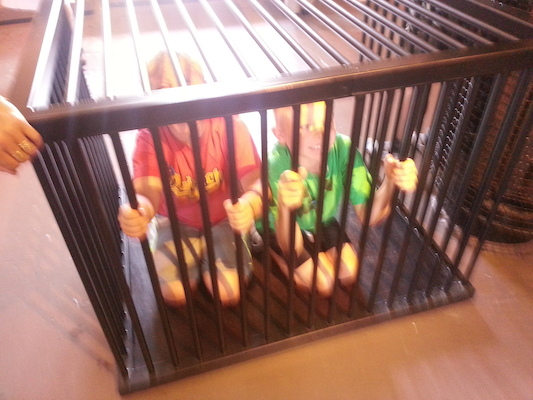 IMG_20130719_105512 (07-19-2013 10:55)