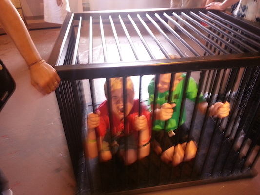 IMG_20130719_105514 (07-19-2013 10:55)