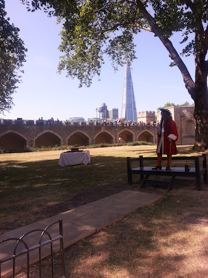 IMG_20130719_113647 (07-19-2013 11:36)