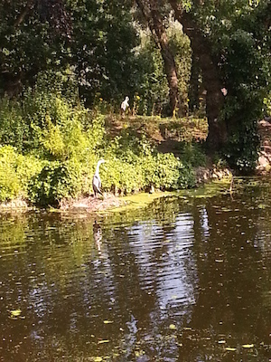 IMG_20130721_155841 (07-21-2013 15:58)