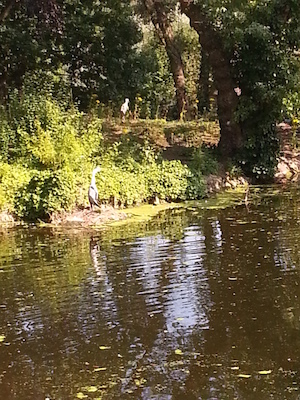 IMG_20130721_155842 (07-21-2013 15:58)