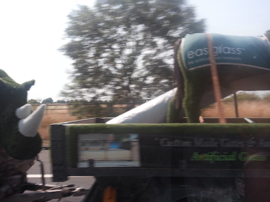 IMG_20130722_113151 (07-22-2013 11:31)