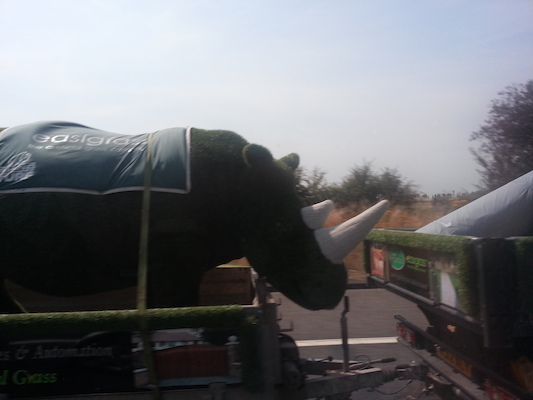 IMG_20130722_113152 (07-22-2013 11:31)