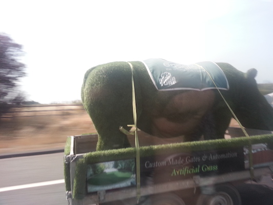 IMG_20130722_113153 (07-22-2013 11:31)