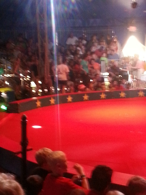 IMG_20130727_135523 (07-27-2013 13:55)