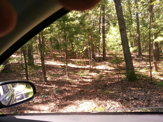 IMG_20130824_144527 (08-24-2013 14:45)