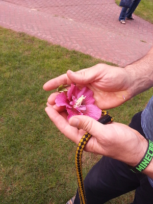 IMG_20130908_122020 (09-08-2013 12:20)