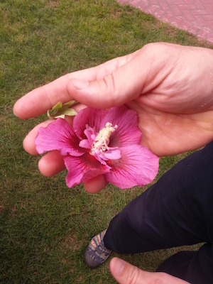 IMG_20130908_122022 (09-08-2013 12:20)