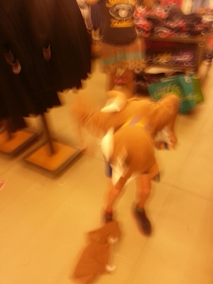 IMG_20131003_182011 (10-03-2013 18:20)