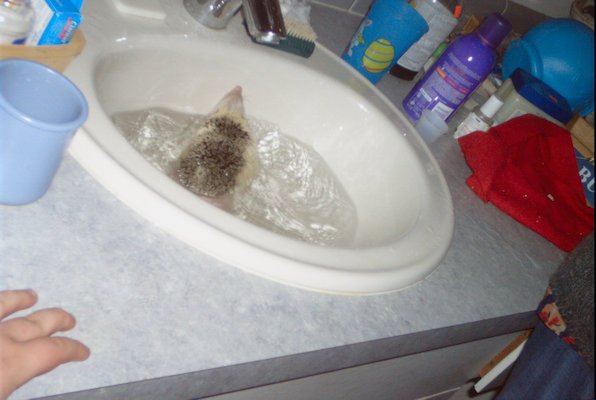 IMG_1685 (11-21-2013 07:57)