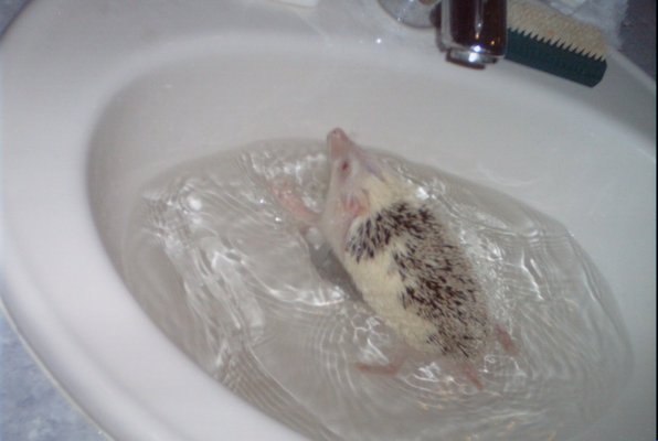 IMG_1686 (11-21-2013 07:57)