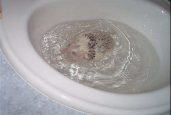 IMG_1687 (11-21-2013 07:57)