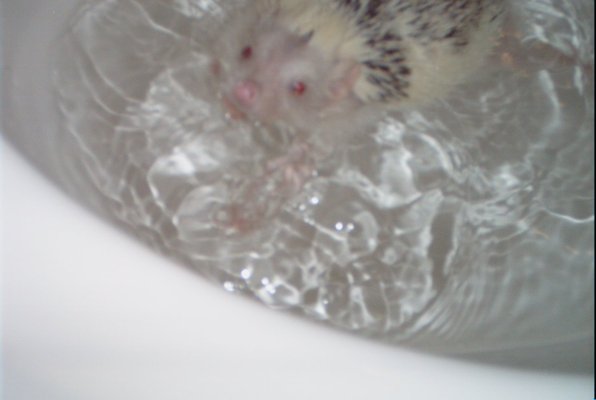 IMG_1688 (11-21-2013 07:57)