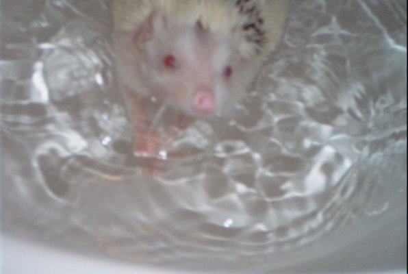 IMG_1689 (11-21-2013 07:57)