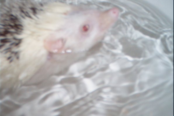 IMG_1690 (11-21-2013 07:57)