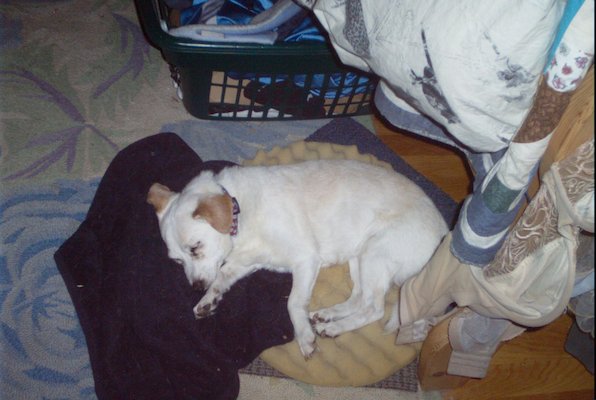 IMG_1702 (11-21-2013 07:57)