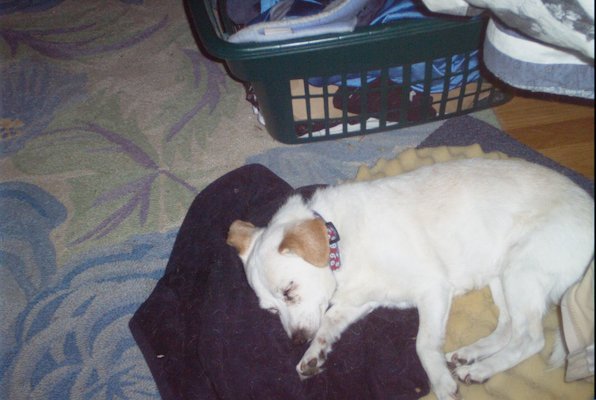 IMG_1703 (11-21-2013 07:57)