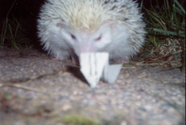 IMG_1705 (11-21-2013 07:57)