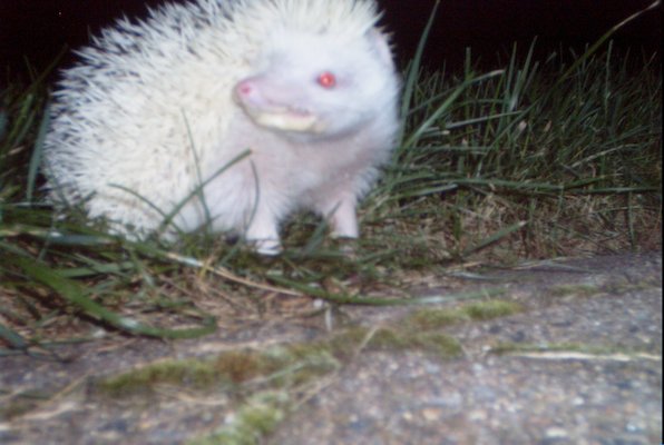 IMG_1711 (11-21-2013 07:57)